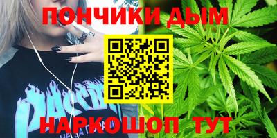 гидра Можга